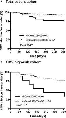 The Donor Major Histocompatibility Complex Class I Chain-Related Molecule A Allele rs2596538 G Predicts Cytomegalovirus Viremia in Kidney Transplant Recipients